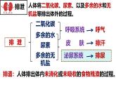 初中生物人教版（2024）七年級(jí)下冊(cè)4.5 人體內(nèi)廢物的排出 課件