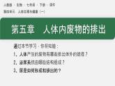 初中生物人教版（2024）七年級(jí)下冊(cè)4.5 人體內(nèi)廢物的排出 課件