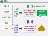 初中生物人教版（2024）七年級(jí)下冊(cè)4.5 人體內(nèi)廢物的排出 課件