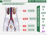 初中生物人教版（2024）七年級(jí)下冊(cè)4.5 人體內(nèi)廢物的排出 課件