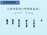 初中生物冀少版（2024）七年級下冊3.1 消化系統(tǒng)與營養(yǎng)攝取 復(fù)習(xí)課件