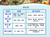 初中生物冀少版（2024）七年級下冊3.1 消化系統(tǒng)與營養(yǎng)攝取 復(fù)習(xí)課件