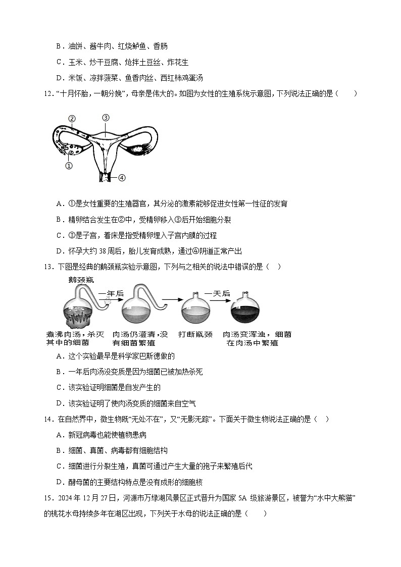 2025年湖北省武汉市中考生物考前信息必刷卷01（武汉专用）第3页