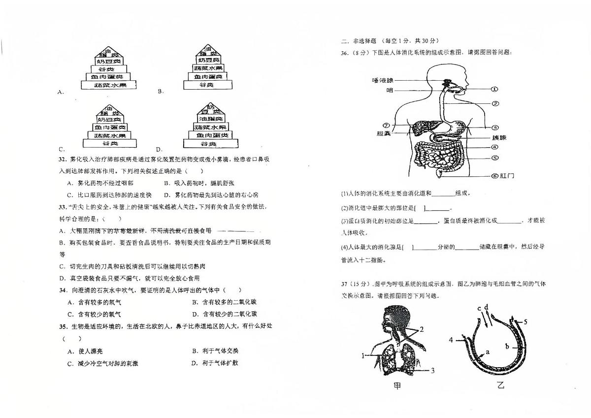 海南省万宁市第二中学2024-2025学年七年级下学期第二次月考生物试题第3页