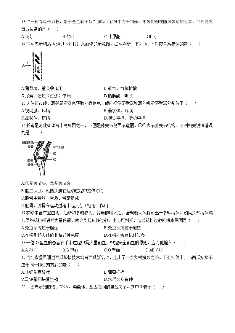 河北省保定市清苑区2024-2025学年八年级下学期期中生物试题第3页
