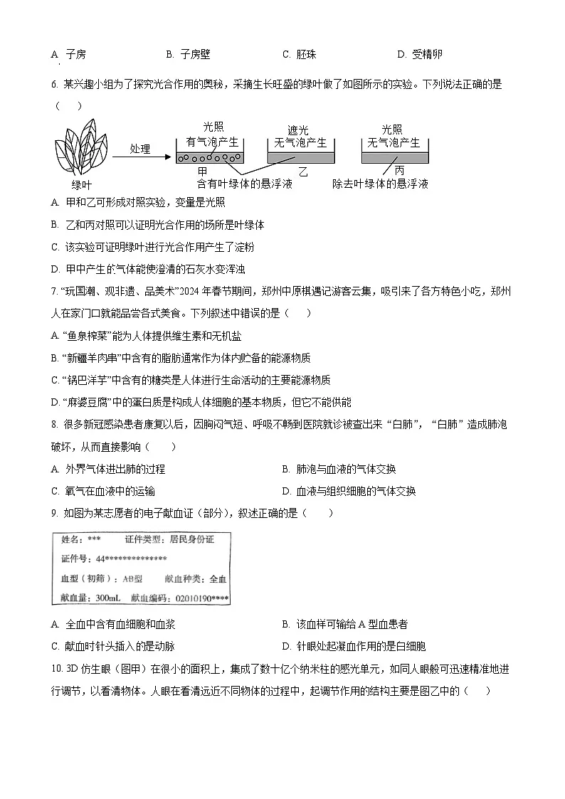 河南省许昌市襄城县名校2024-2025学年八年级下学期期中生物试题第2页