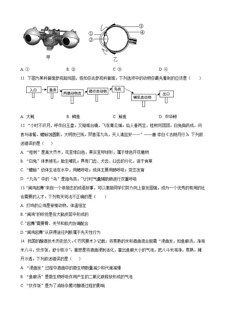 河南省许昌市襄城县名校2024-2025学年八年级下学期期中生物试题第3页