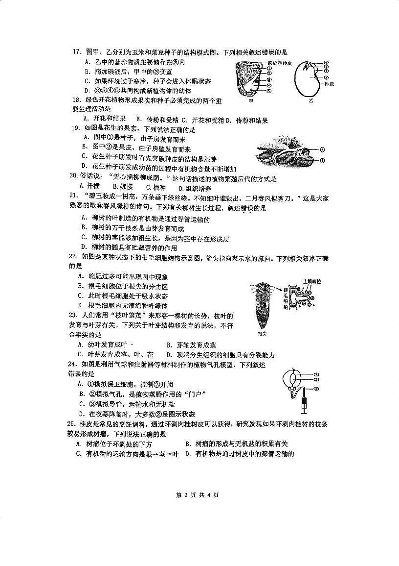 江苏省南京市江宁区竹山中学2024-2025学年七年级下学期5月份月考生物试题第2页