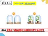 第十二章 第2節(jié) 植物維持生物圈中的碳氧平衡（第1課時(shí)）PPT課件