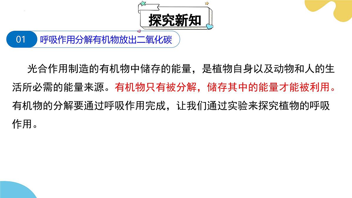 第十二章 第2节 植物维持生物圈中的碳氧平衡（第2课时）PPT课件第4页