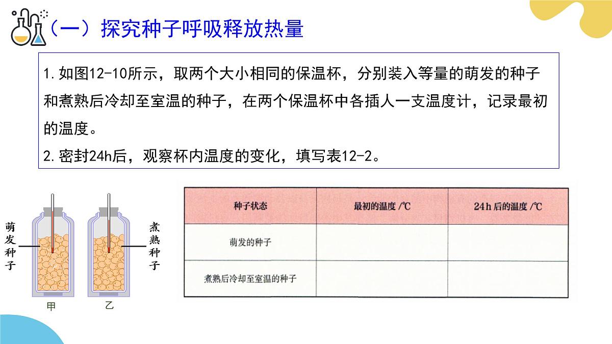 第十二章 第2节 植物维持生物圈中的碳氧平衡（第2课时）PPT课件第6页