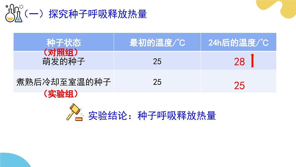 第十二章 第2节 植物维持生物圈中的碳氧平衡（第2课时）PPT课件第7页