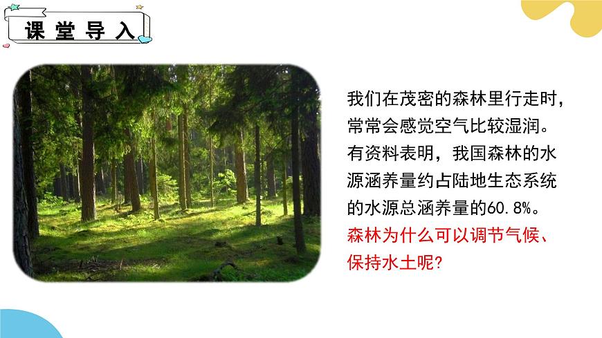 第十二章 第3节 植物参与生物圈中的水循环PPT课件第4页