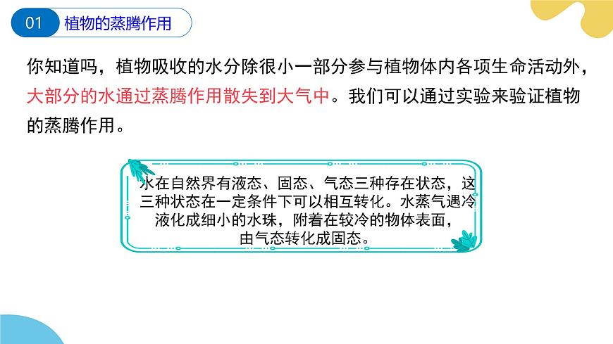 第十二章 第3节 植物参与生物圈中的水循环PPT课件第5页