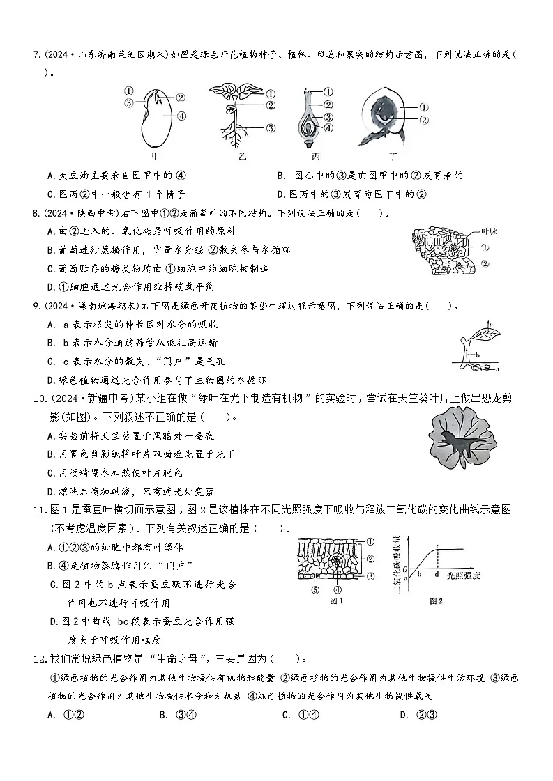 人教版生物七年级下册期末复习练习题（含答案）第2页