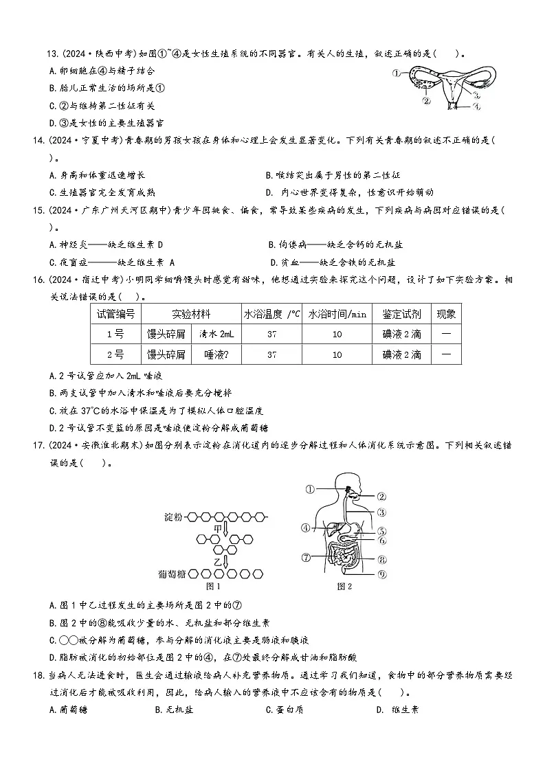 人教版生物七年级下册期末复习练习题（含答案）第3页
