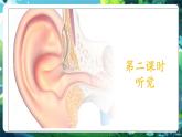 【核心素養(yǎng)優(yōu)質(zhì)課】冀少版生物七年級下冊 3.5.3.2 感覺的形成（聽覺）（課件+同步教案+導(dǎo)學(xué)案+分層作業(yè)）