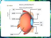 【核心素養(yǎng)優(yōu)質(zhì)課】冀少版生物七年級下冊 3.5.3.2 感覺的形成（聽覺）（課件+同步教案+導(dǎo)學(xué)案+分層作業(yè)）