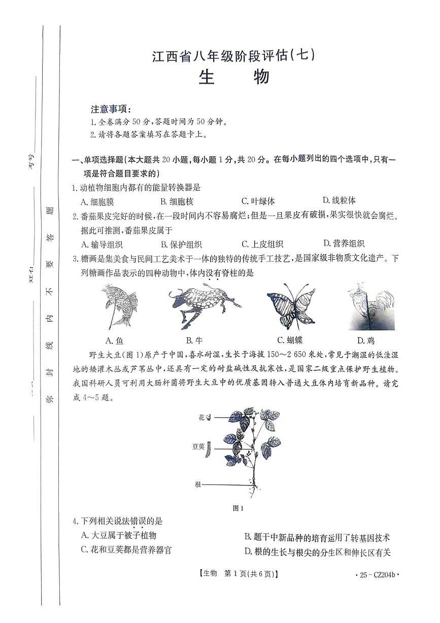 江西省南昌市南昌县江西金太阳教育研究有限公司2024-2025学年八年级下学期5月份月考生物试题第1页