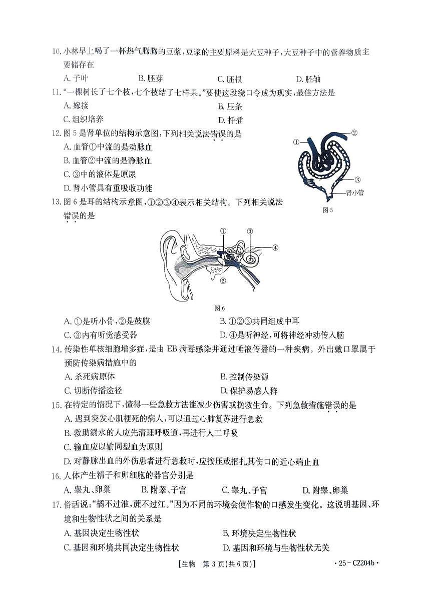 江西省南昌市南昌县江西金太阳教育研究有限公司2024-2025学年八年级下学期5月份月考生物试题第3页