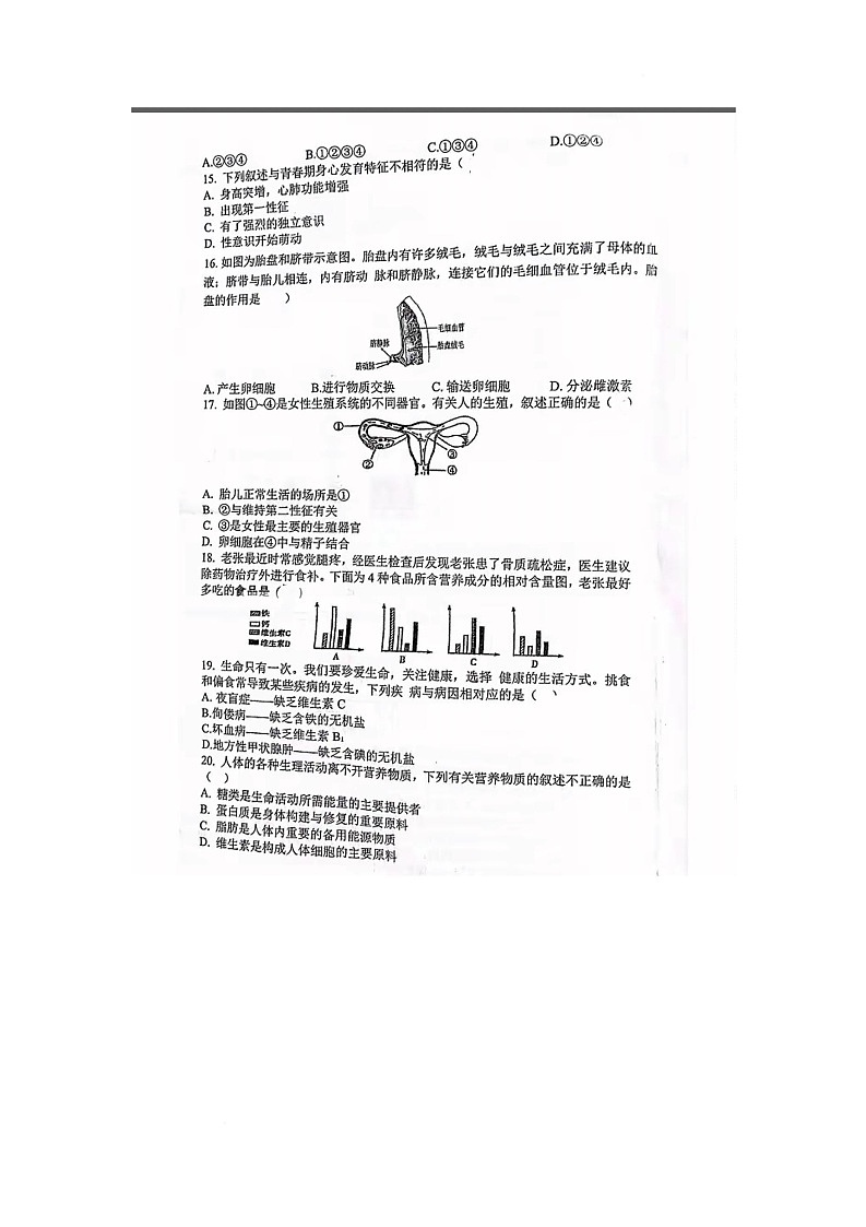 辽宁省锦州市第十二中学2024-2025学年七年级下学期期中考试生物试卷第3页