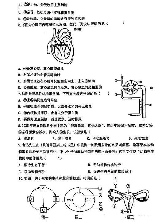 辽宁省盘锦市双台子区第一中学2024--2025学年八年级下学期期中考试生物试卷第2页
