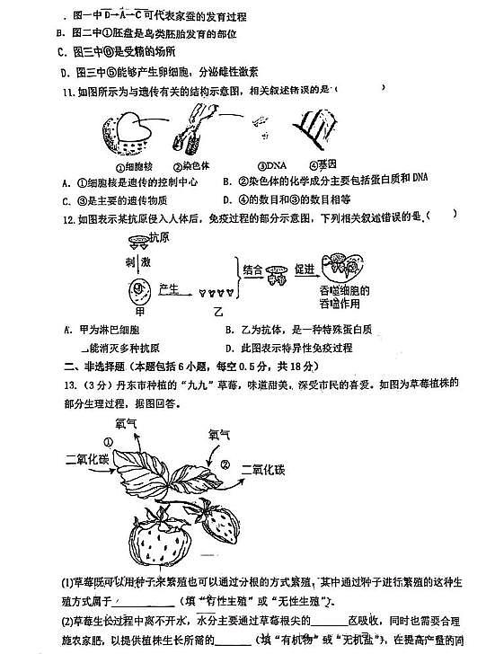 辽宁省盘锦市双台子区第一中学2024--2025学年八年级下学期期中考试生物试卷第3页
