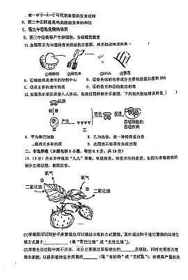 辽宁省盘锦市双台子区第一中学2024-2025学年八年级下学期期中测试生物试卷第3页