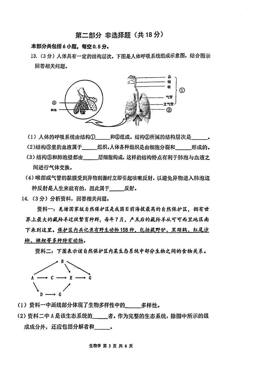 辽宁省沈阳市第一二六中学教育集团2024—2025学年八年级下学期生物6月作业检测试题第3页