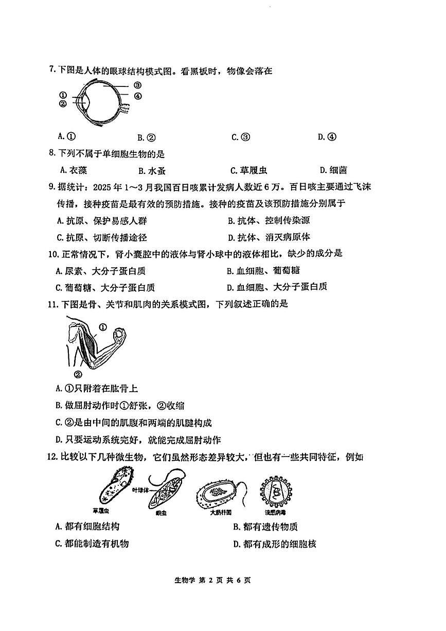 辽宁省沈阳市第一二六中学教育集团2024—2025学年八年级下学期生物6月作业检测试题第2页