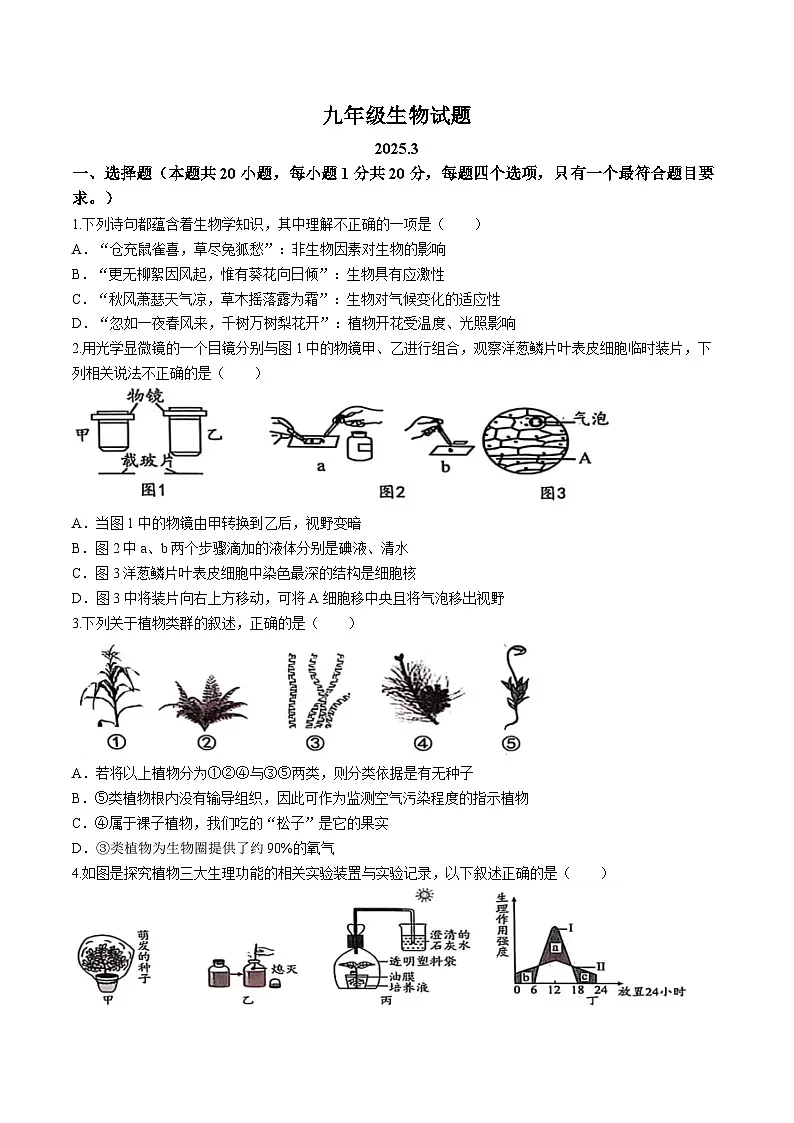 山东省菏泽市菏泽经济技术开发区2024-2025学年九年级下学期3月月考生物试题第1页
