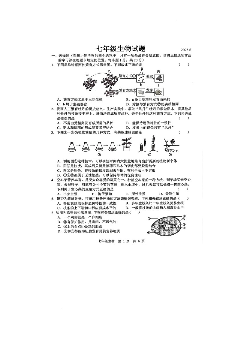 山东省菏泽市菏泽经济技术开发区2024-2025学年七年级下学期6月月考生物试题第1页