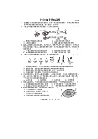 山东省菏泽市菏泽经济技术开发区2024-2025学年七年级下学期6月月考生物试题