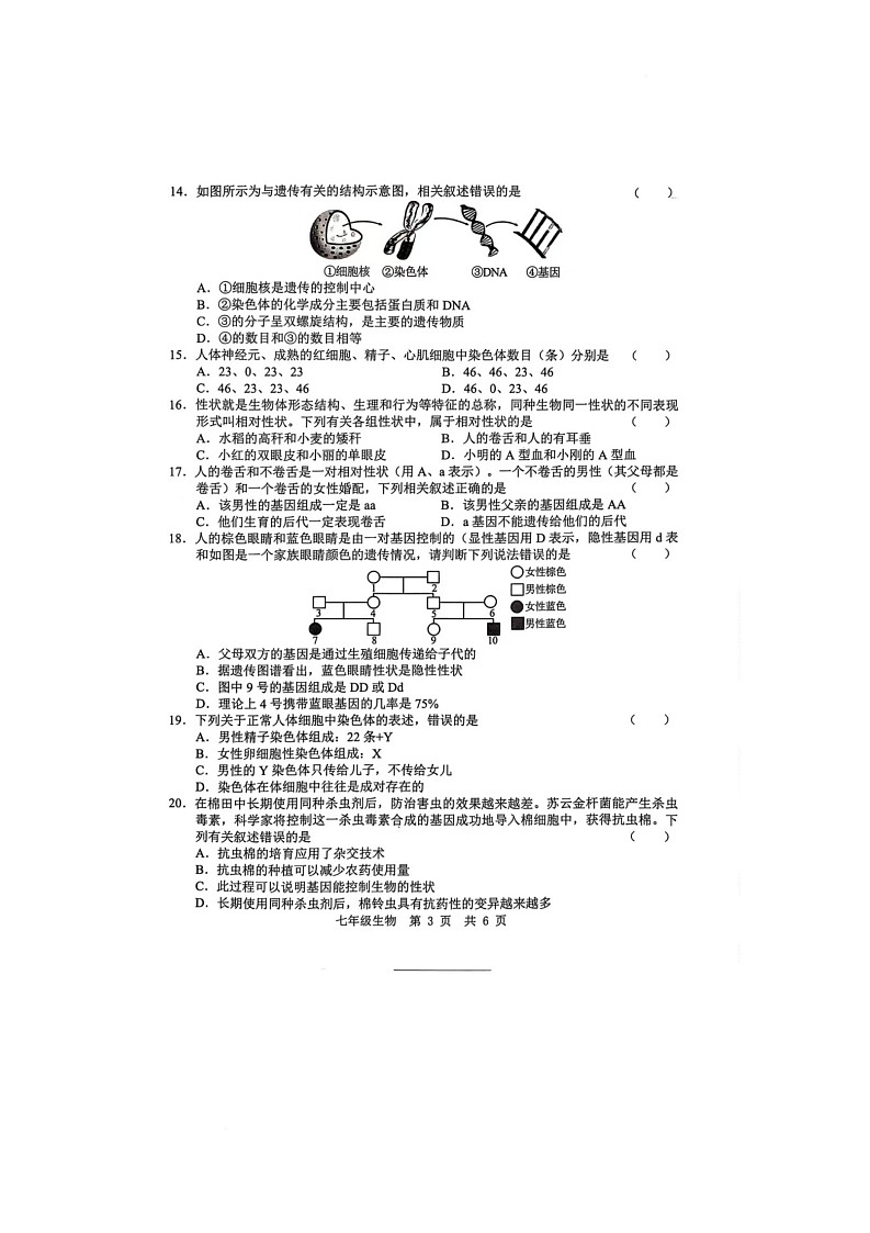 山东省菏泽市菏泽经济技术开发区2024-2025学年七年级下学期6月月考生物试题第3页
