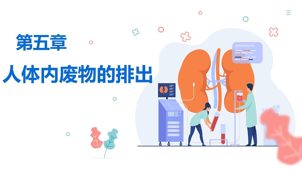 人教版生物七年级下册4.5 《人体内废物的排出》 课件第1页