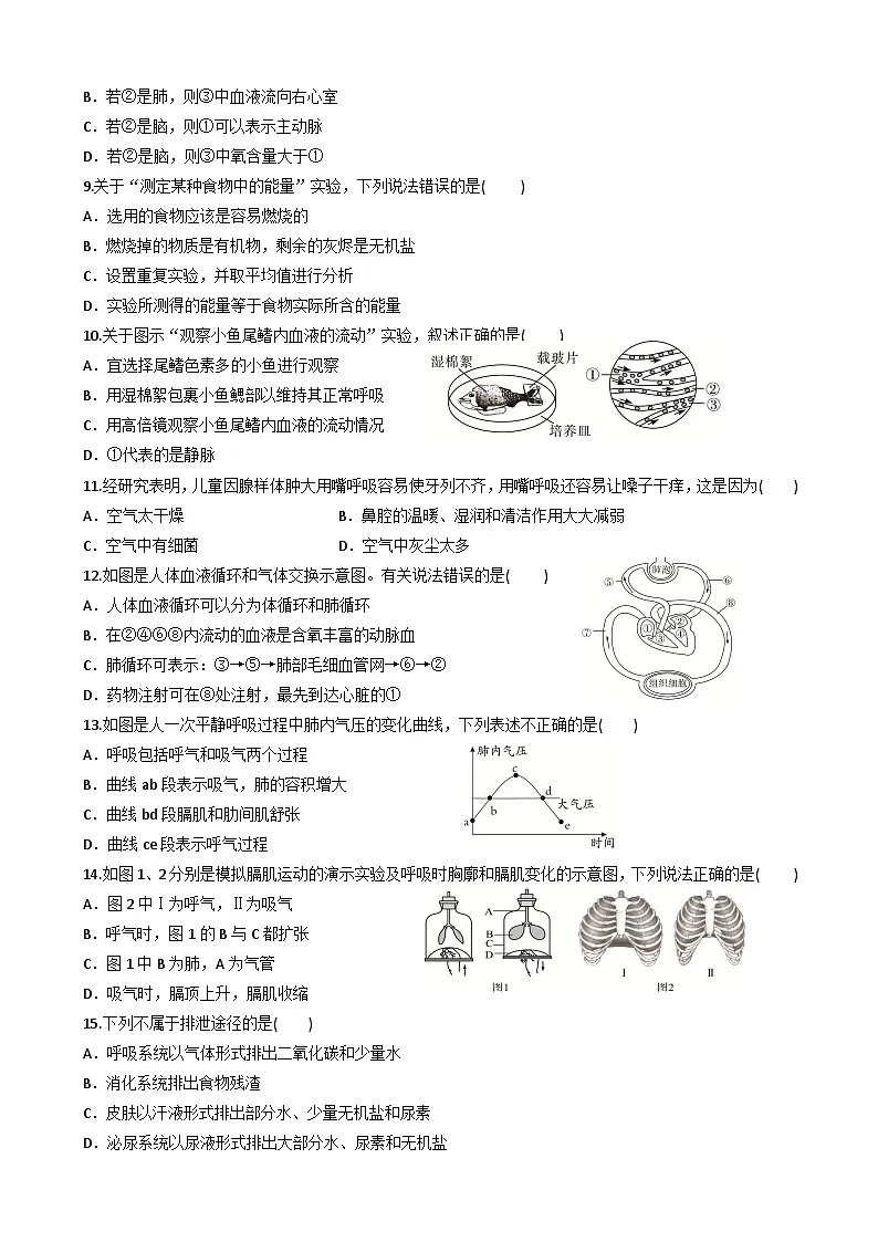 北师大版（2024）七年级下册生物期末复习模拟试卷（含答案）第2页
