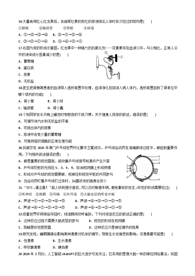 北师大版（2024）七年级下册生物期末复习模拟试卷（含答案）第3页