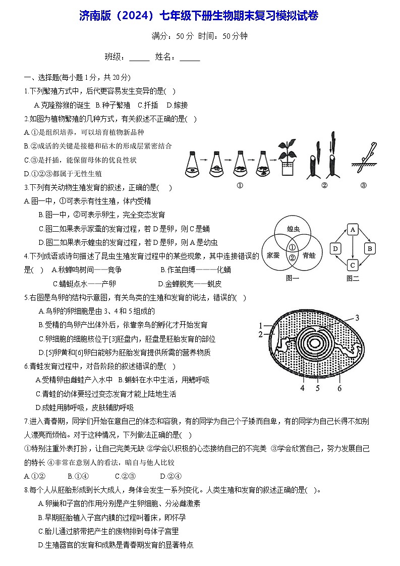 济南版（2024）七年级下册生物期末复习模拟试卷（含答案）第1页