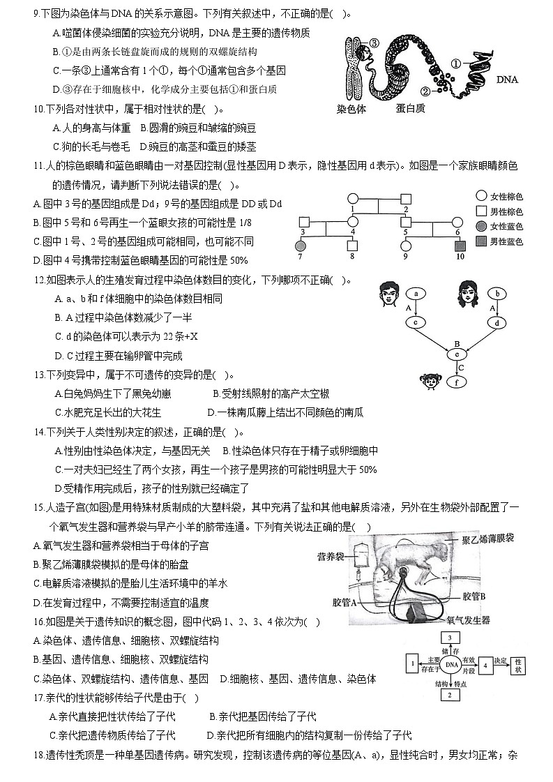 济南版（2024）七年级下册生物期末复习模拟试卷（含答案）第2页