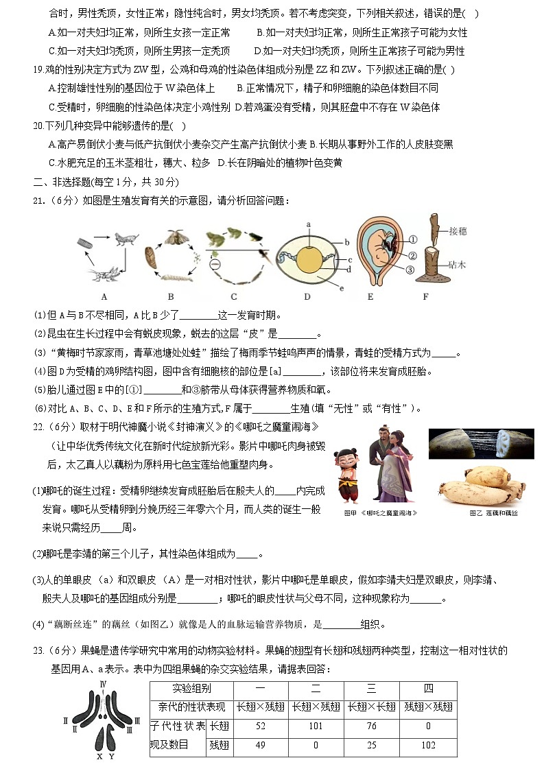 济南版（2024）七年级下册生物期末复习模拟试卷（含答案）第3页