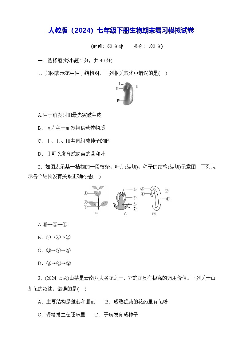 人教版（2024）七年级下册生物期末复习模拟试卷（含答案）第1页