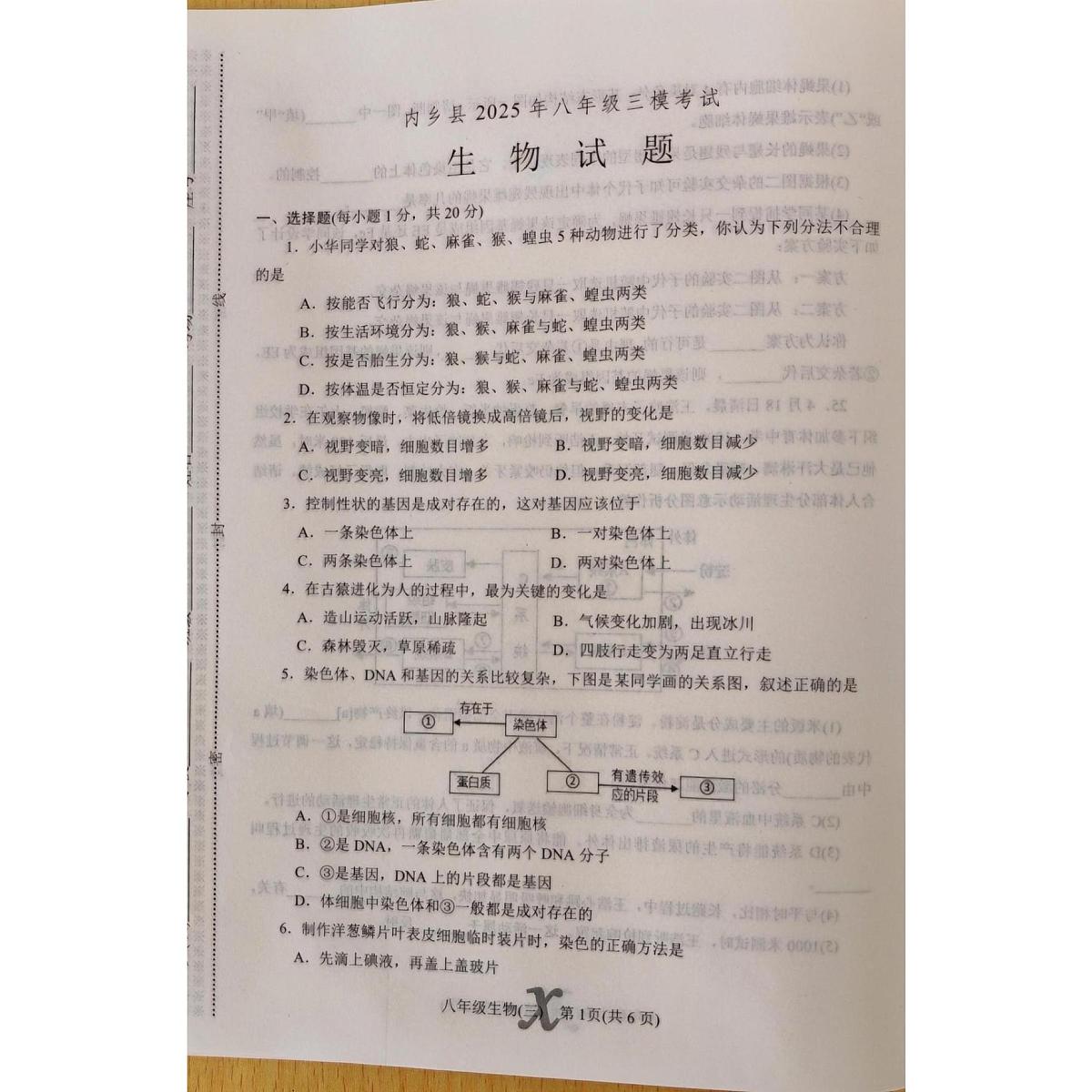 2025年河南省南阳市内乡县八年级中考三模生物试题（中考模拟）第1页