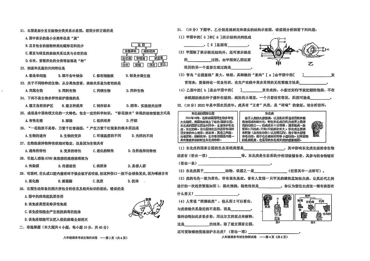 广东省汕头市潮南区陈店公校2024-2025学年八年级下学期6月月考生物试题第2页