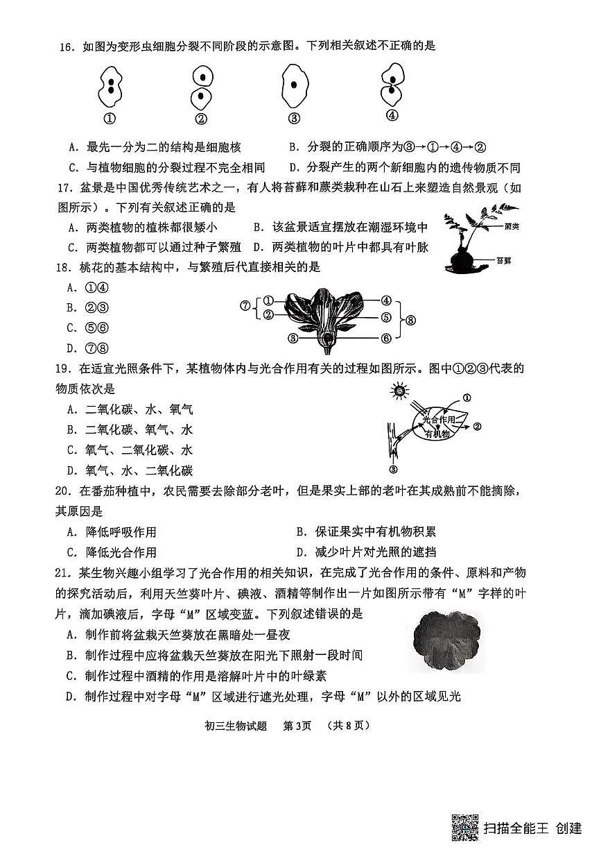 山东省威海市某校（五四制）2024-2025学年八年级上学期期末考试生物试题第3页