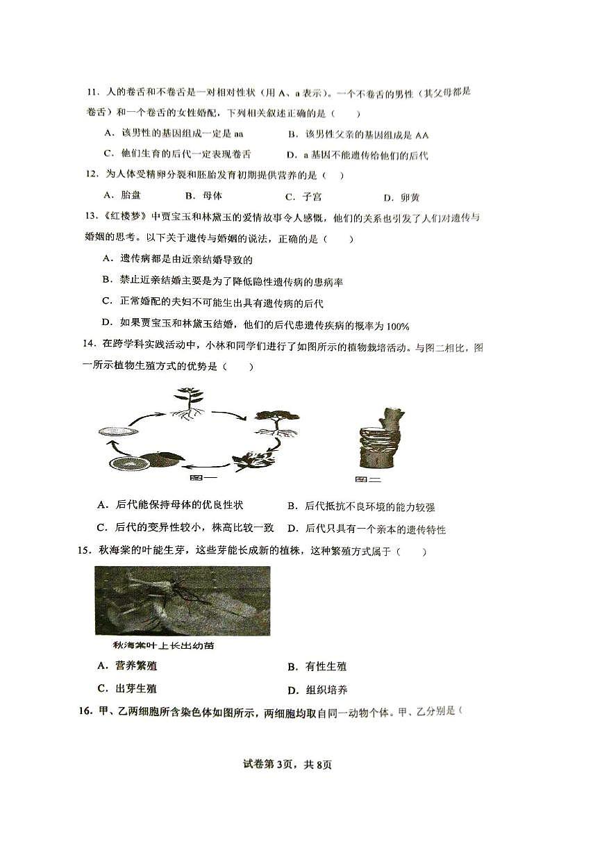 山东省枣庄市滕州市龙泉实验学校2024-2025学年七年级下学期6月月考生物试题第3页