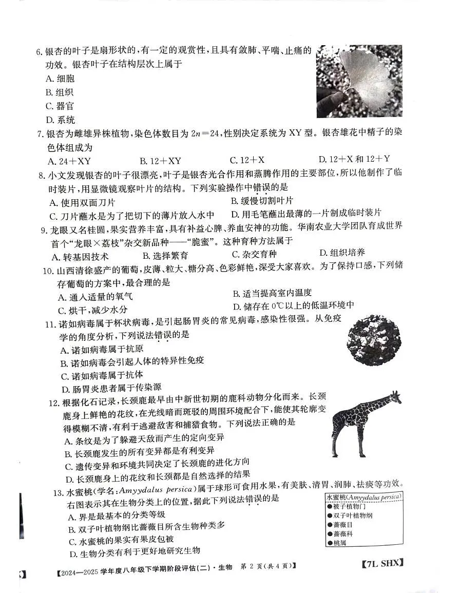 山西省阳泉市多校2024-2025学年八年级下学期5月月考生物试题第2页