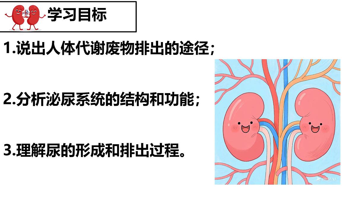 人教版生物七年级下册4.5《人体内废物的排出》课件第2页