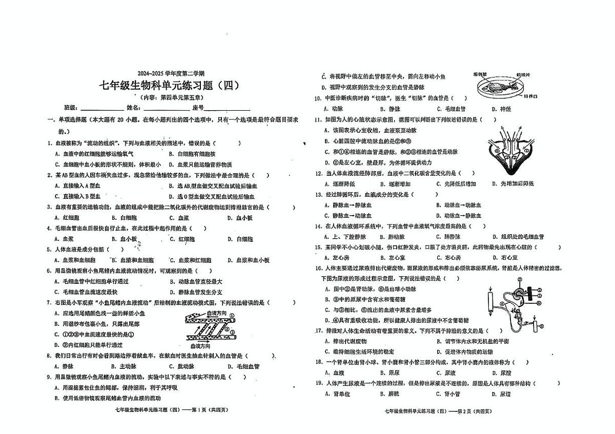 广东省汕头市潮南区陈店公校2024-2025学年七年级下学期6月月考生物试题第1页