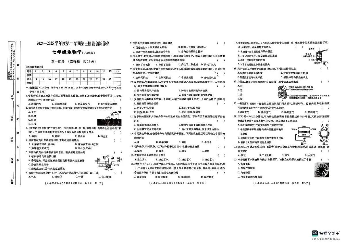 陕西省咸阳彩虹学校2024-2025学年七年级下学期5月期中生物试题第1页