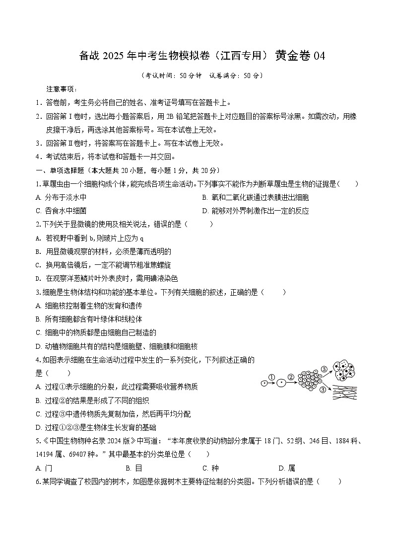卷04（江西专用）（考试版）第1页